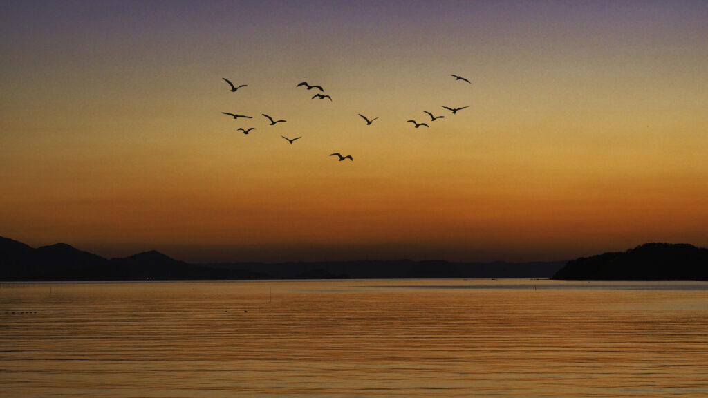 夕暮れ時の奇跡！弁天橋で出会う自然の絶景