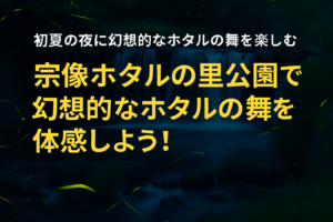 初夏の夜に輝く命の舞 ― 宗像ホタルの里公園で幻想体験を