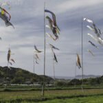 糸島 吉井・赤米の里で出会う春の彩り風景