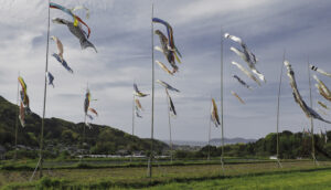 糸島 吉井・赤米の里で出会う春の彩り風景