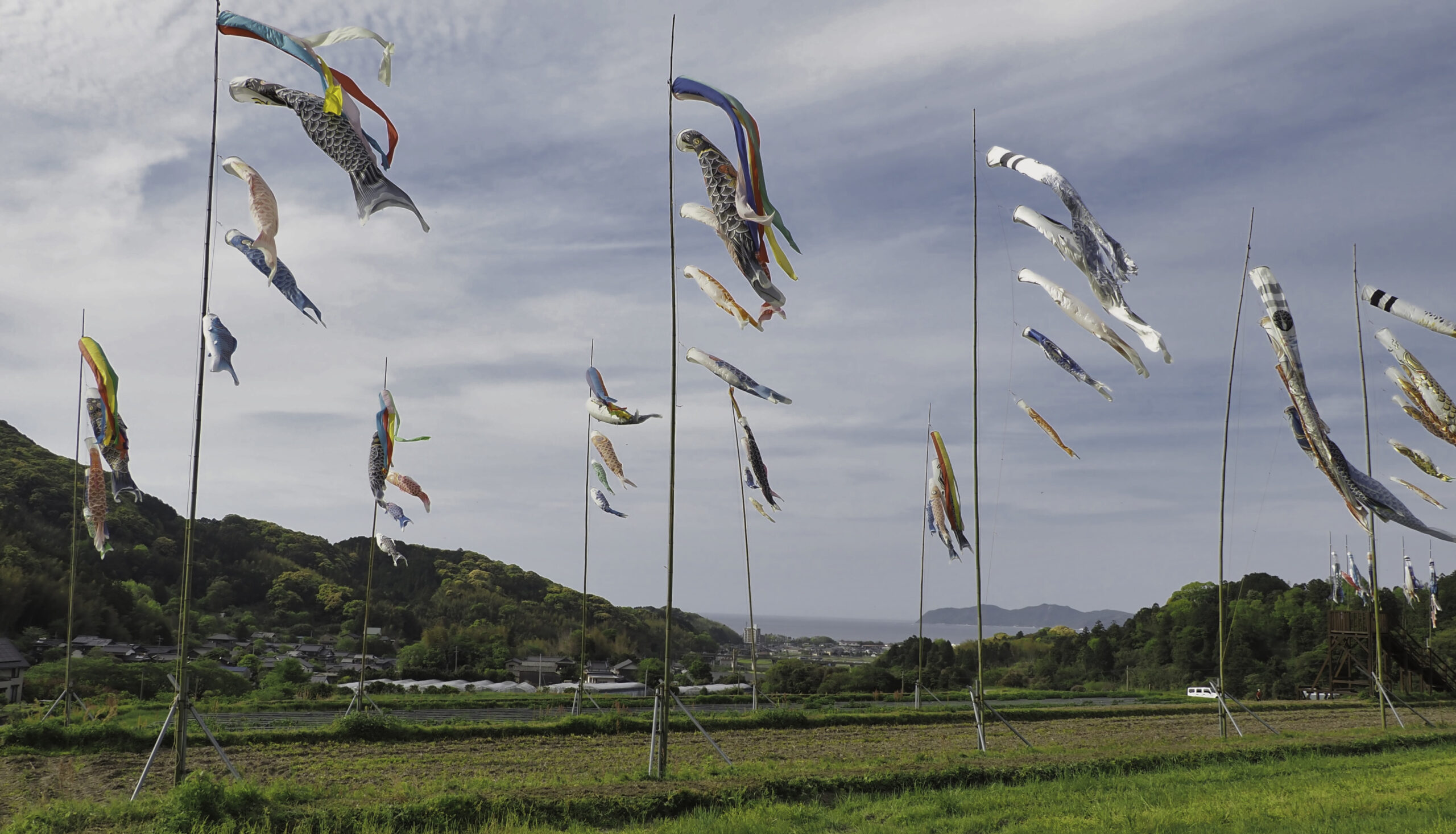 糸島 吉井・赤米の里で出会う春の彩り風景