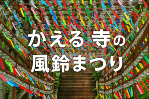 🎐かえる寺の風鈴まつりで“映え時間”を過ごしませんか🐸✨