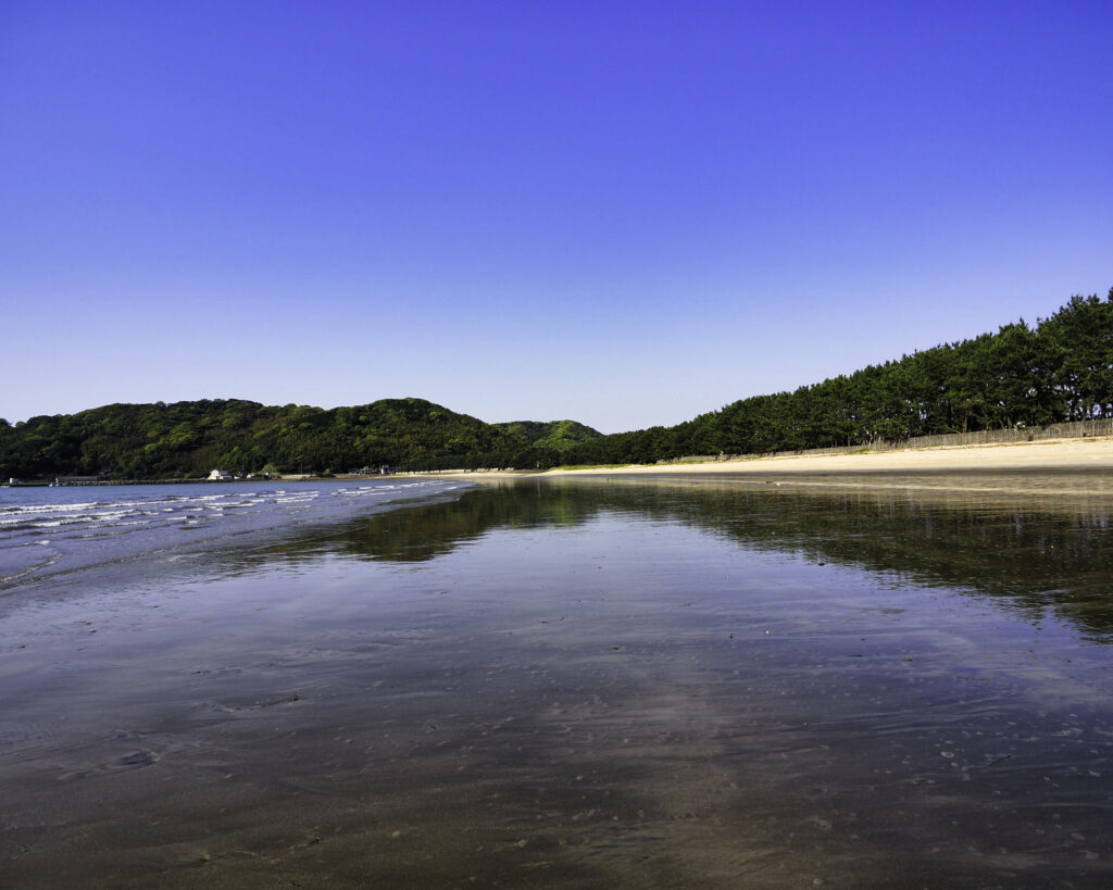 フォトジェニックな夕暮れショット