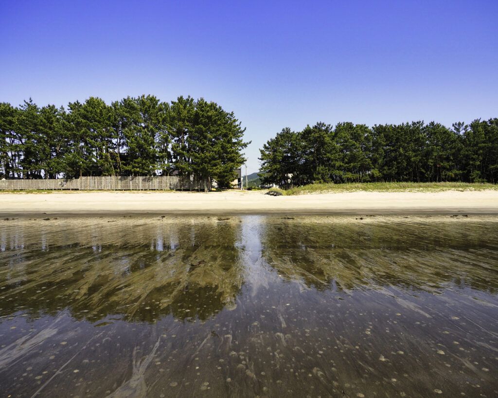 深江海岸の夕景