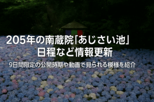 【動画で紹介】南蔵院「あじさい池」の開催日程が変更に！