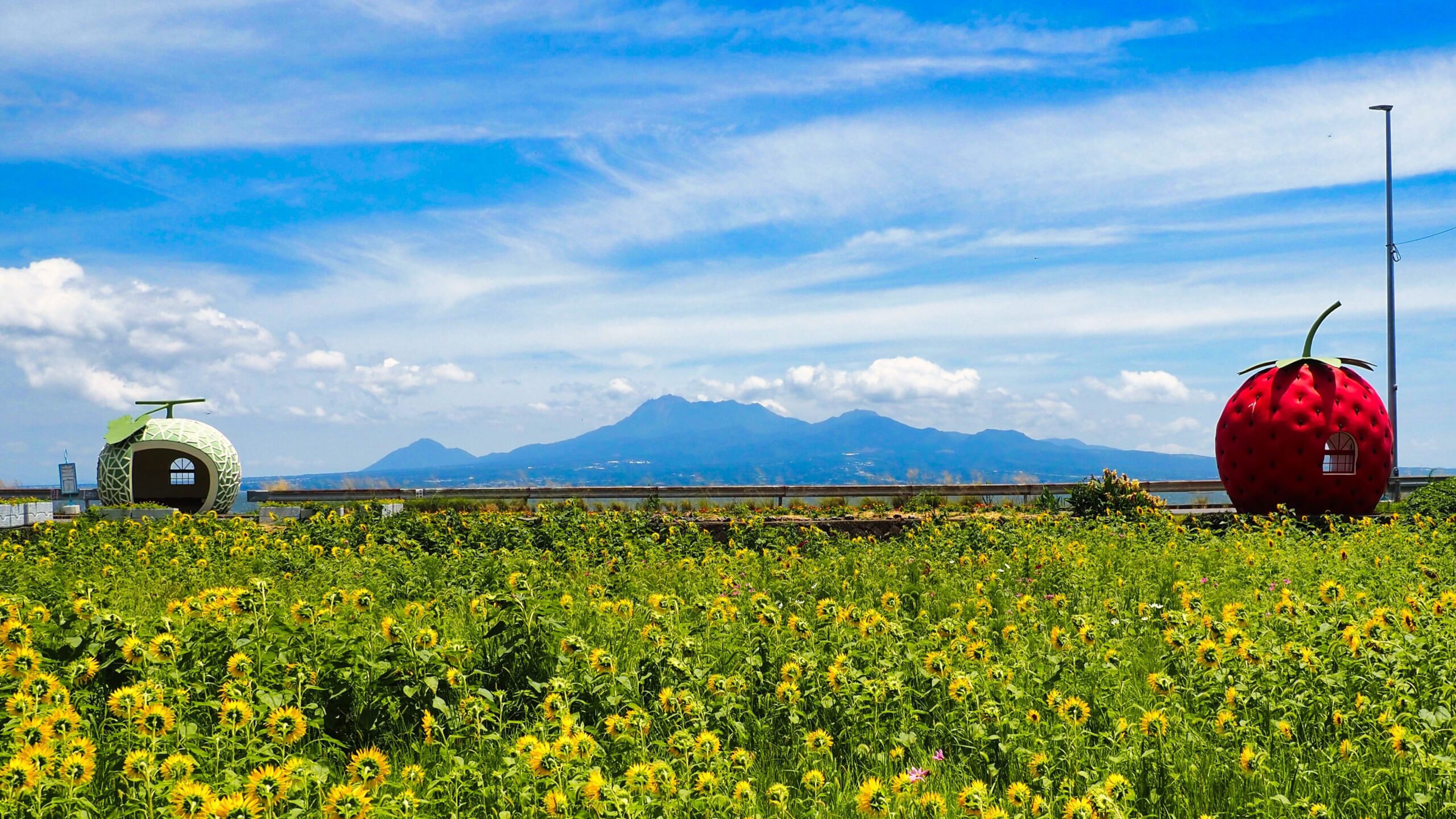 長崎・フルーツバス停の場所と地図付きで紹介｜海沿いの静かな映え旅へ