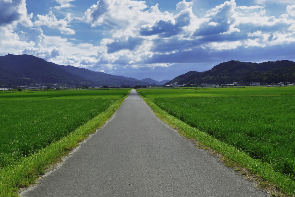 田園を貫く一本道
