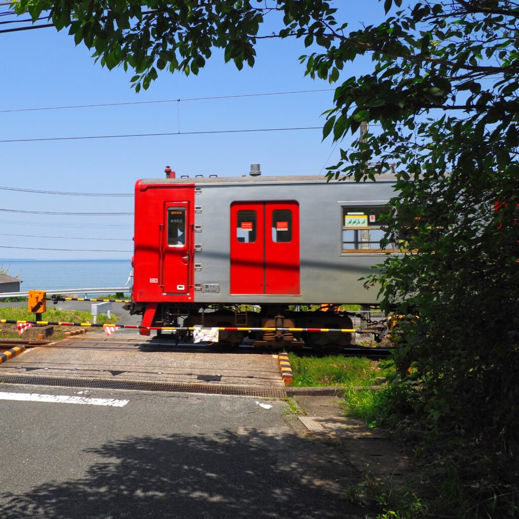 萩の原の踏切を真横からとらえた赤い電車の迫力あるショット、木漏れ日の中の風景
