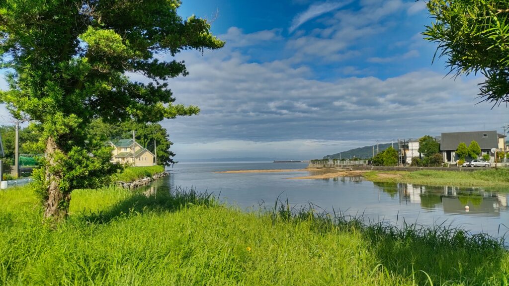 静かな川辺の風景