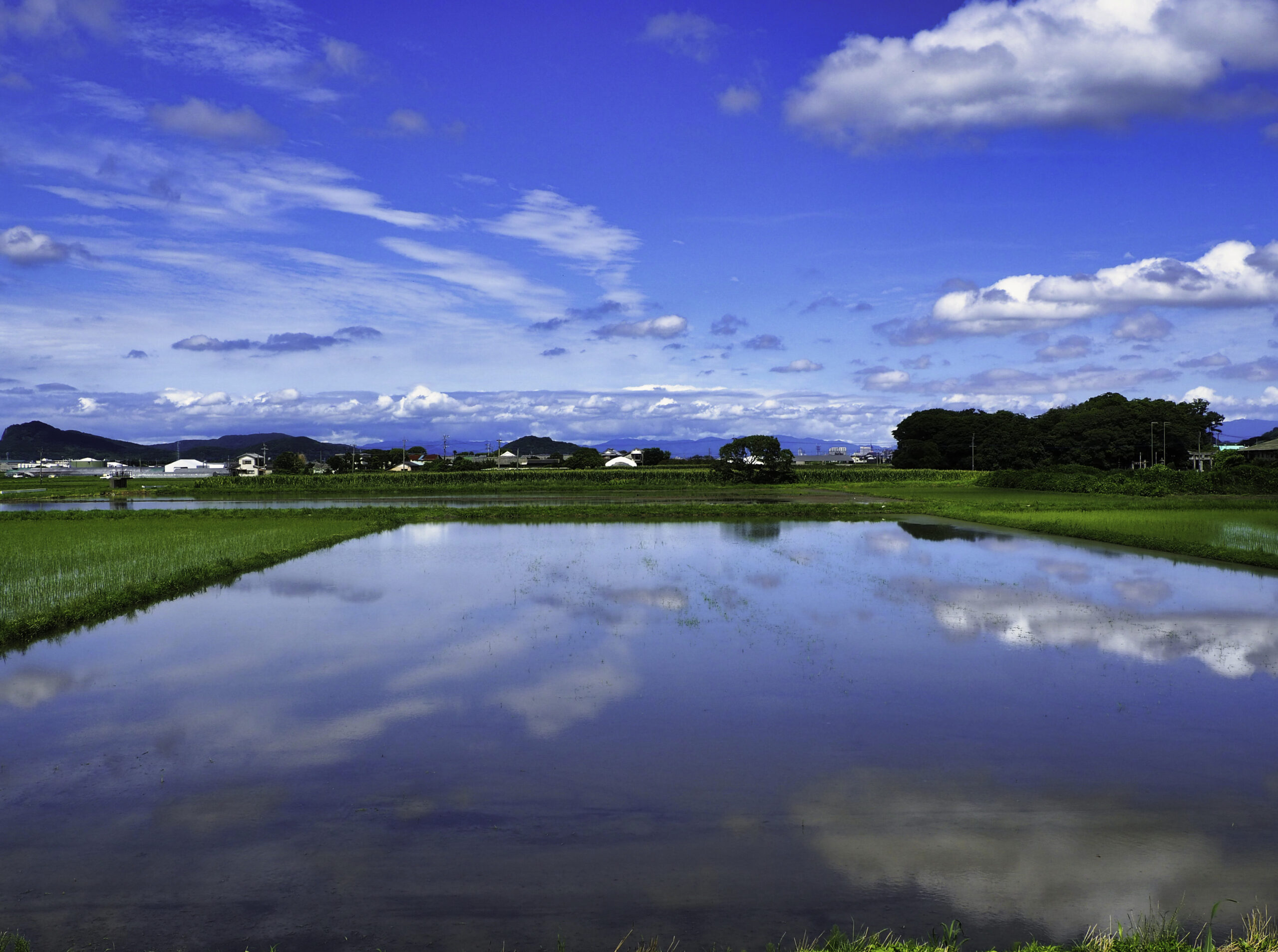 糸島在住者がこっそり教える、7月の田園と海と祭り。写真で巡る癒しの夏旅