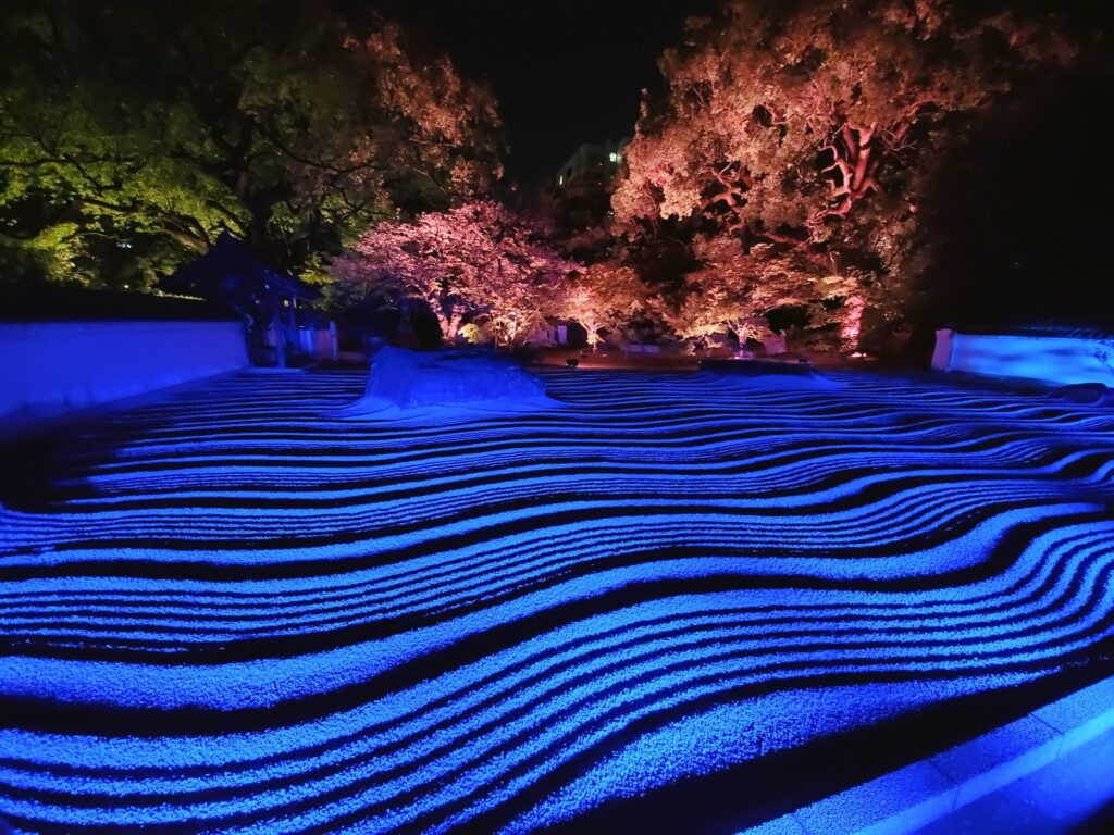 福岡 博多ライトアップウォークで光に包まれる寺社と紅葉の幻想的な夜景