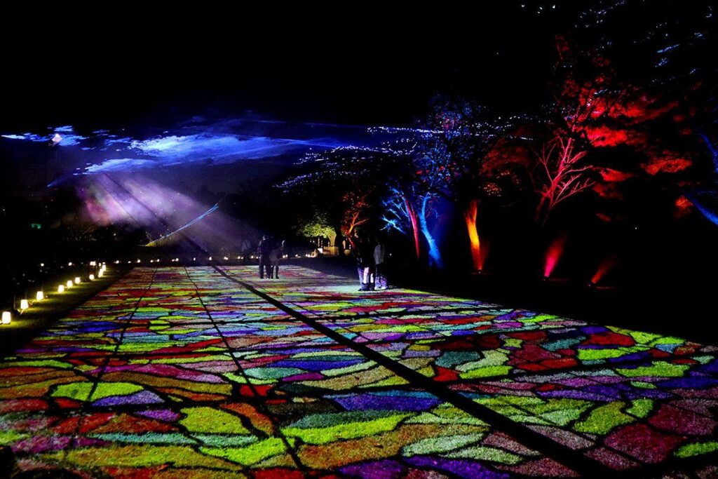 熊本 水前寺成趣園の竹あかり×光のアート