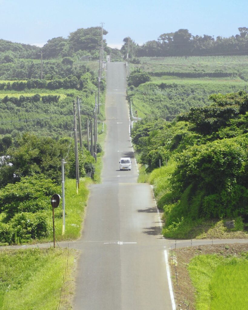 加部島の牧歌的な風景を貫く一本道