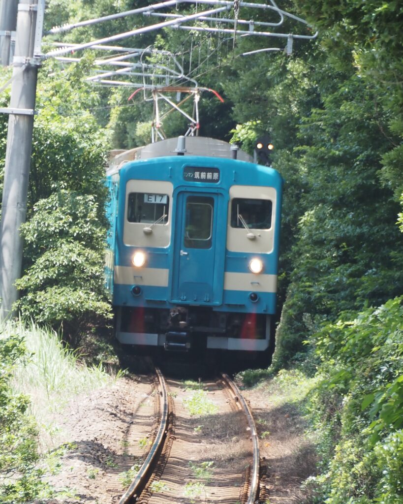 虹の松原「木々の間を疾走する電車」