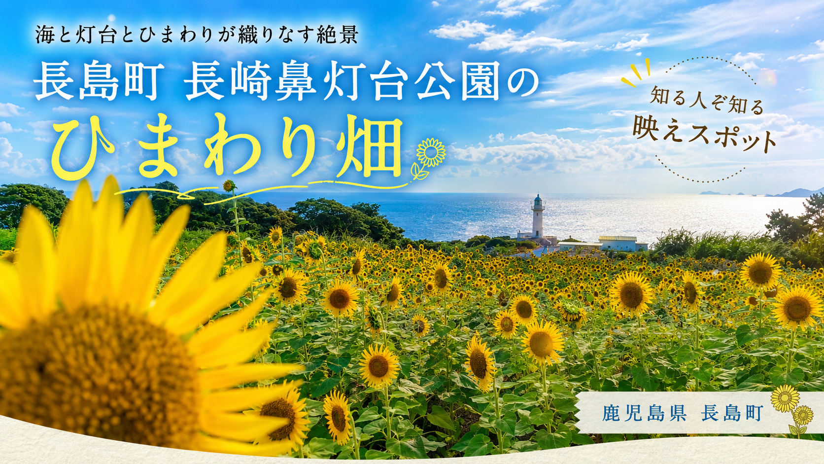 長島町ひまわり畑【知る人ぞ知る】絶景穴場！東シナ海と灯台が映える場所