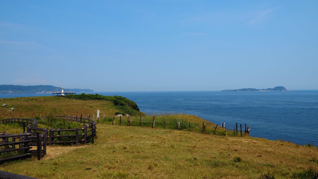 海へ向かって広がる杉ノ原牧場。柵に沿った牧草地も印象的です。