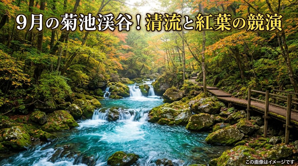 菊池渓谷 9月が狙い目！熊本で秋の絶景を先取り、清流と紅葉の競演