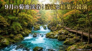 菊池渓谷 9月が狙い目！熊本で秋の絶景を先取り、清流と紅葉の競演