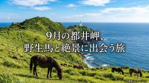 宮崎・都井岬【9月の絶景】串間市で野生馬と海が織りなす感動旅