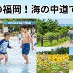 福岡市 海の中道海浜公園 8月夏休みは「水遊び」で涼しく！夏の絶景も必見
