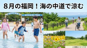福岡市 海の中道海浜公園 8月夏休みは「水遊び」で涼しく！夏の絶景も必見