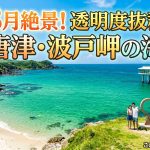 【8月】佐賀県唐津市 波戸岬の海！透明度抜群の絶景と遊び方