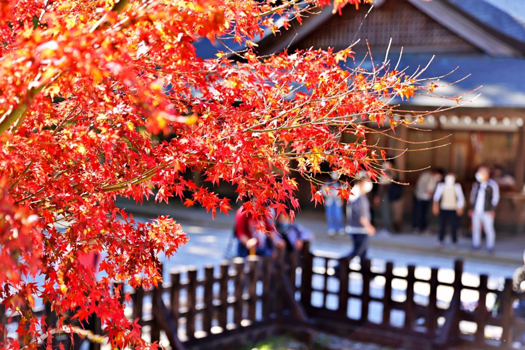 英彦山神宮の紅葉