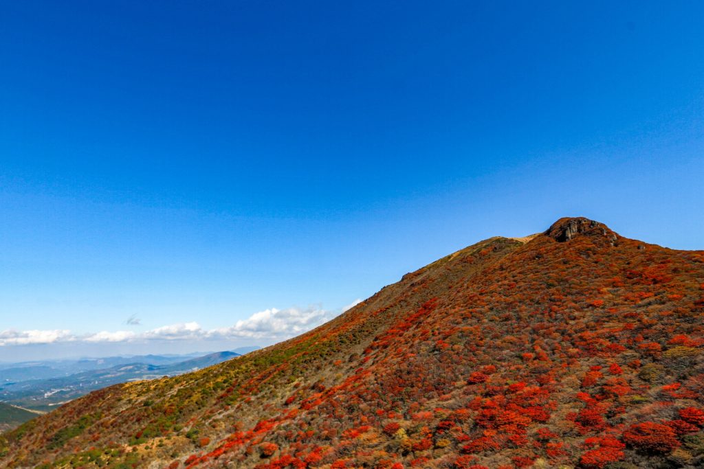 くじゅう連山の紅葉