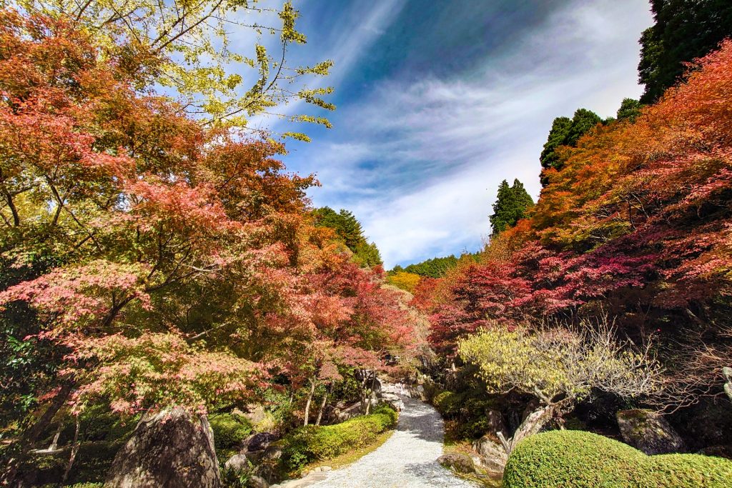 英彦山大権現の紅葉
