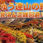 くじゅう連山の紅葉｜10月の見頃と大分県竹田市からの混雑回避ルートは？