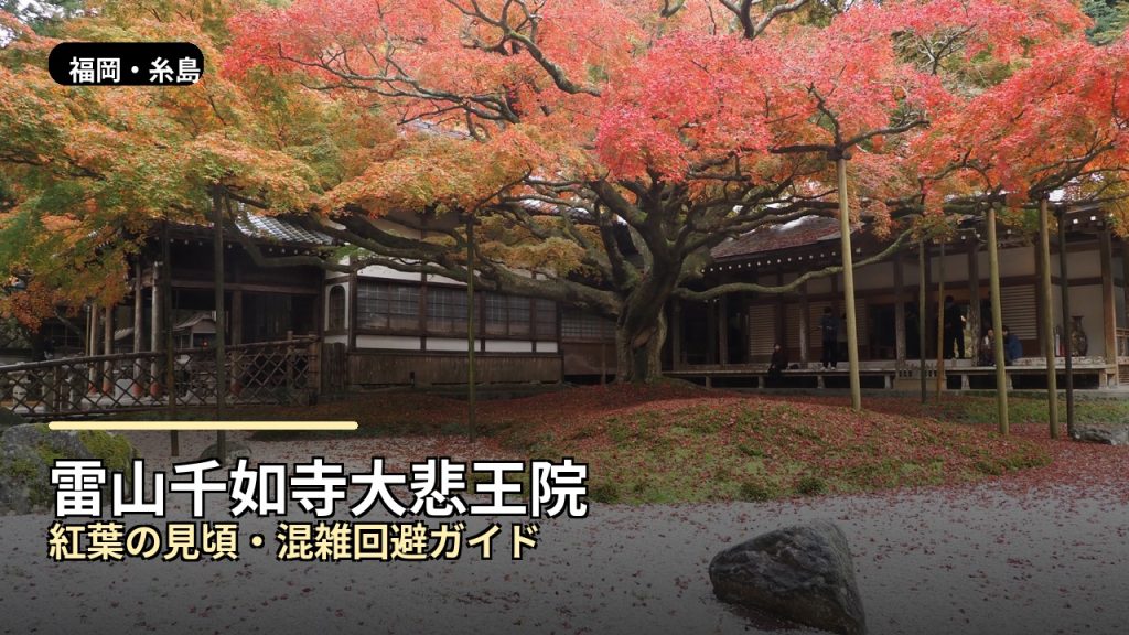 【雷山千如寺大悲王院】紅葉の見頃は？混雑回避で楽しむ方法