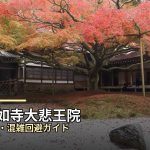 【雷山千如寺大悲王院】紅葉の見頃は？混雑回避で楽しむ方法