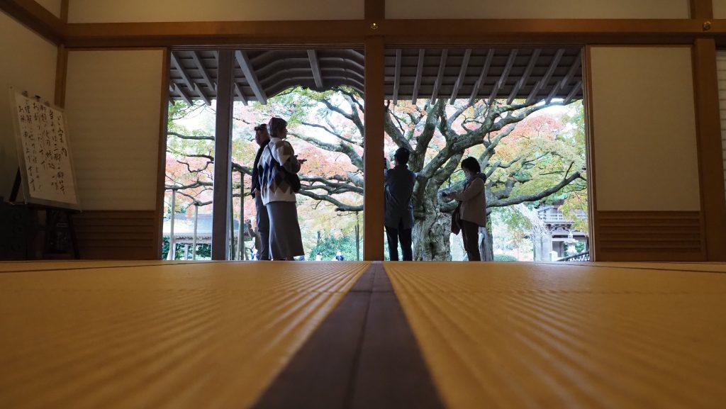 雷山　屋内より