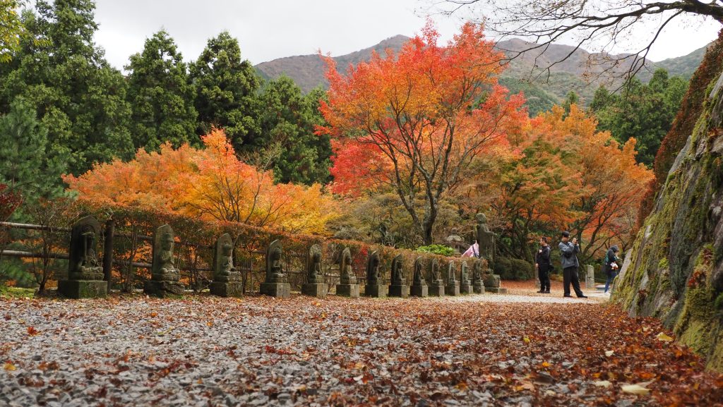 雷山　紅の紅葉