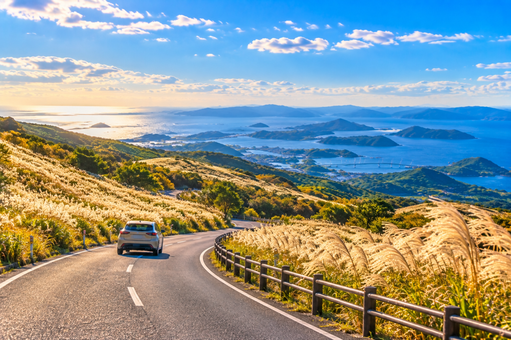 ススキが広がる秋の山道を車で走りながら平戸の海を望む風景
