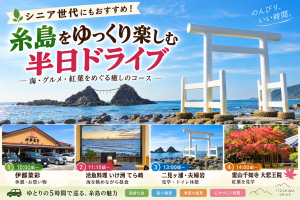 シニア世代にもおすすめ!糸島をゆっくり楽しむ半日ドライブ