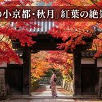 秋月城跡の紅葉｜見頃は11月！福岡・朝倉市の絶景スポット