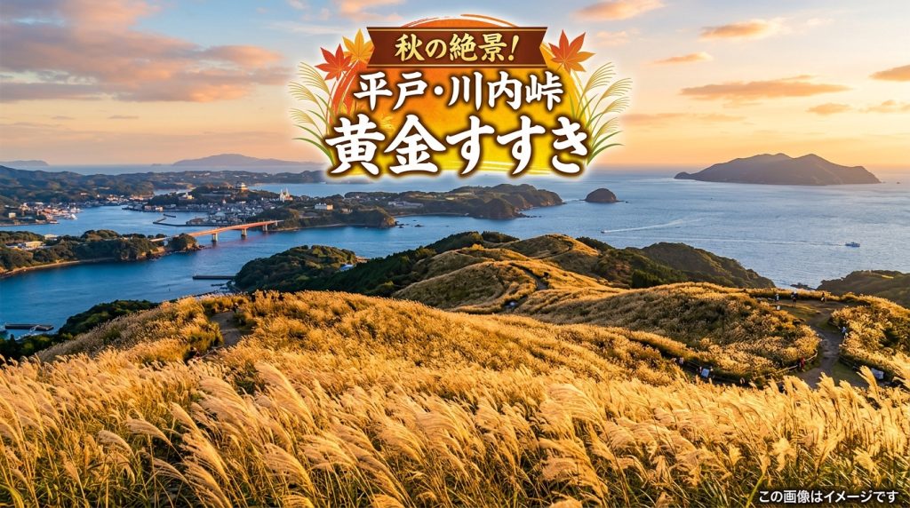 秋の絶景 長崎県 平戸市 川内峠！10月必見の黄金すすきパノラマ
