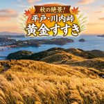 秋の絶景 長崎県 平戸市 川内峠！10月必見の黄金すすきパノラマ