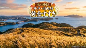 秋の絶景 長崎県 平戸市 川内峠！10月必見の黄金すすきパノラマ